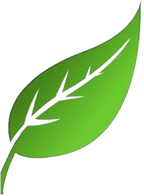 Leaf Icon