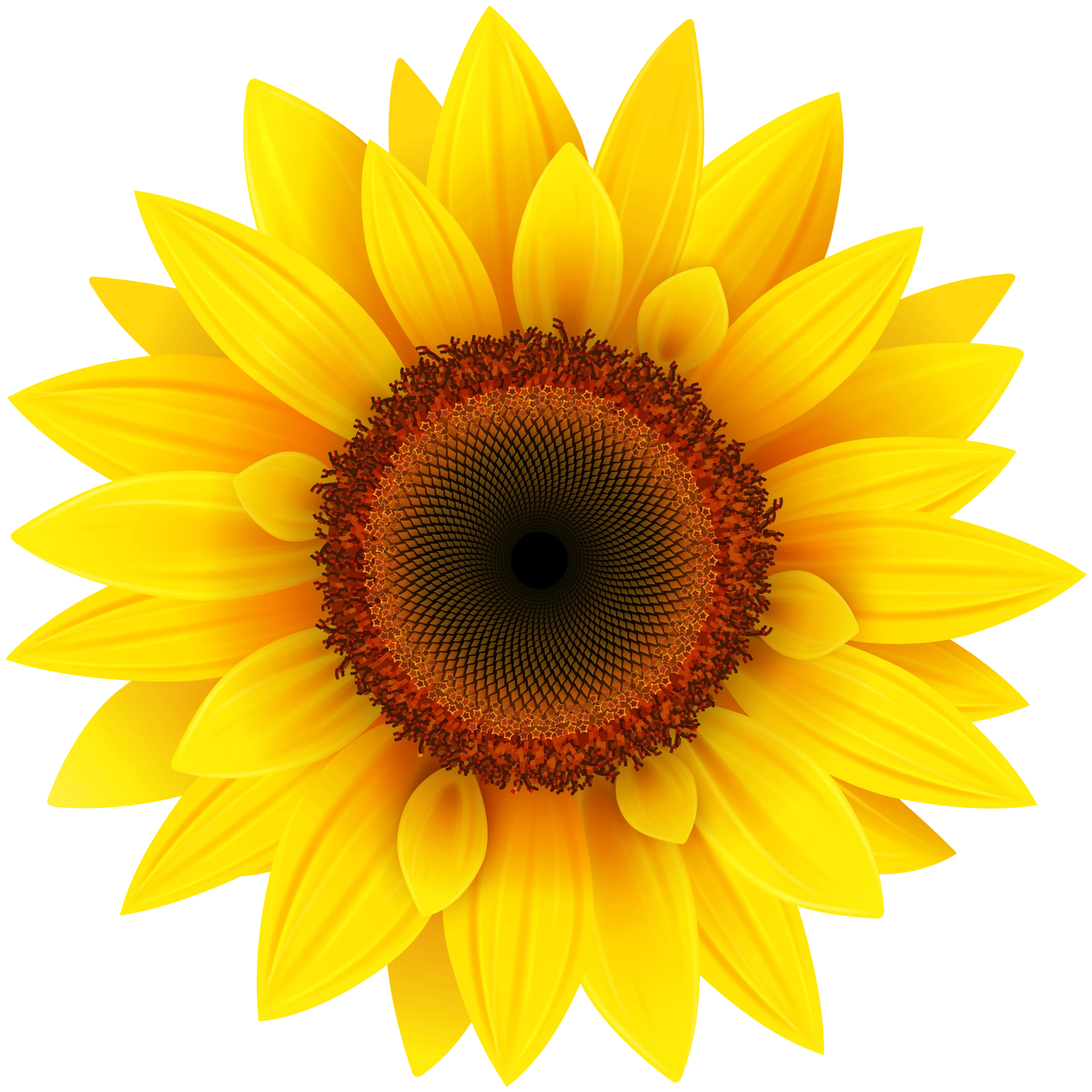 Flower - Why Choose Us